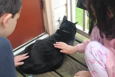 Tankichi R  Beautiful