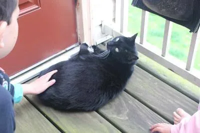 Tankichi R  Beautiful thumbnail 3