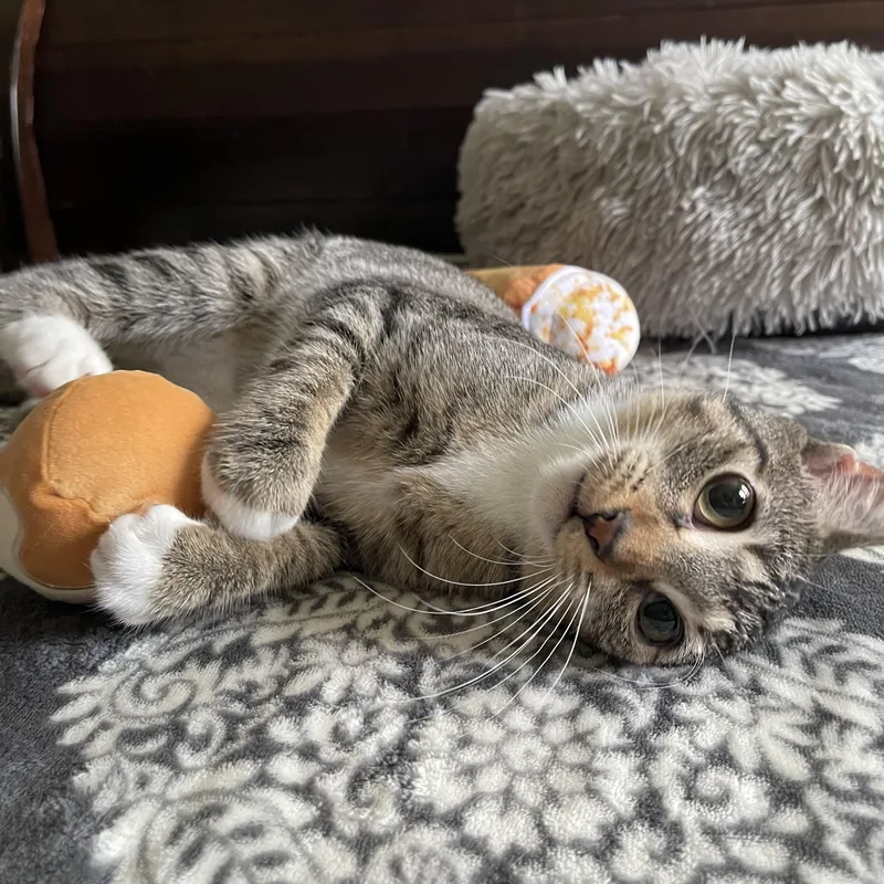 Dorita  Riley Fuzzel thumbnail 2