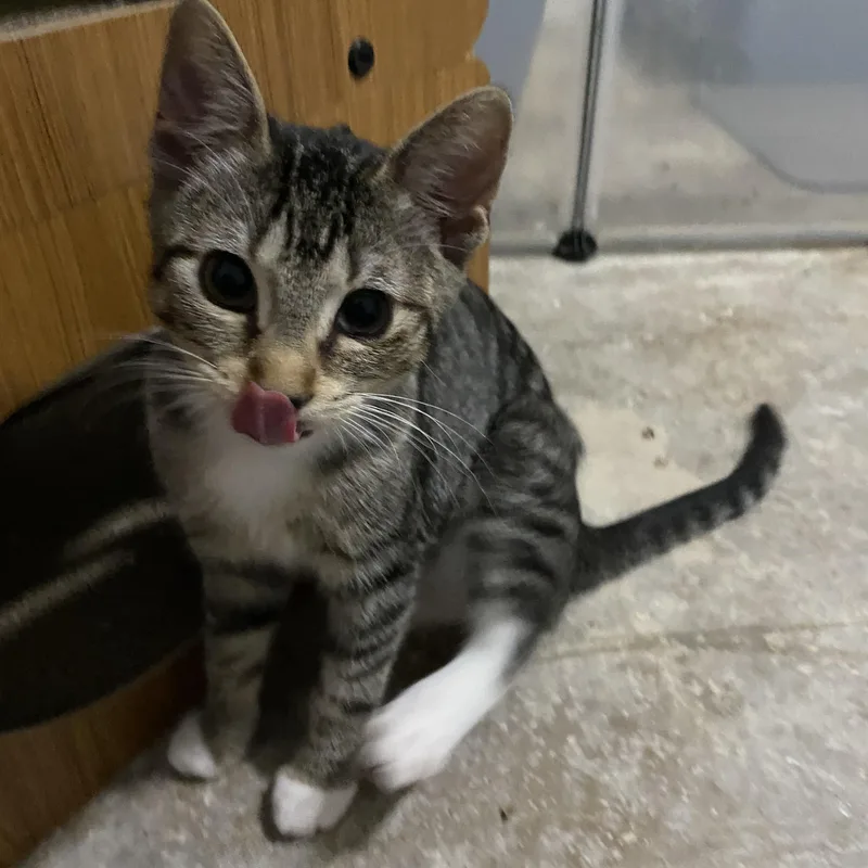 Dorita  Riley Fuzzel thumbnail 3