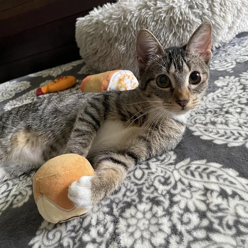 Dorita  Riley Fuzzel