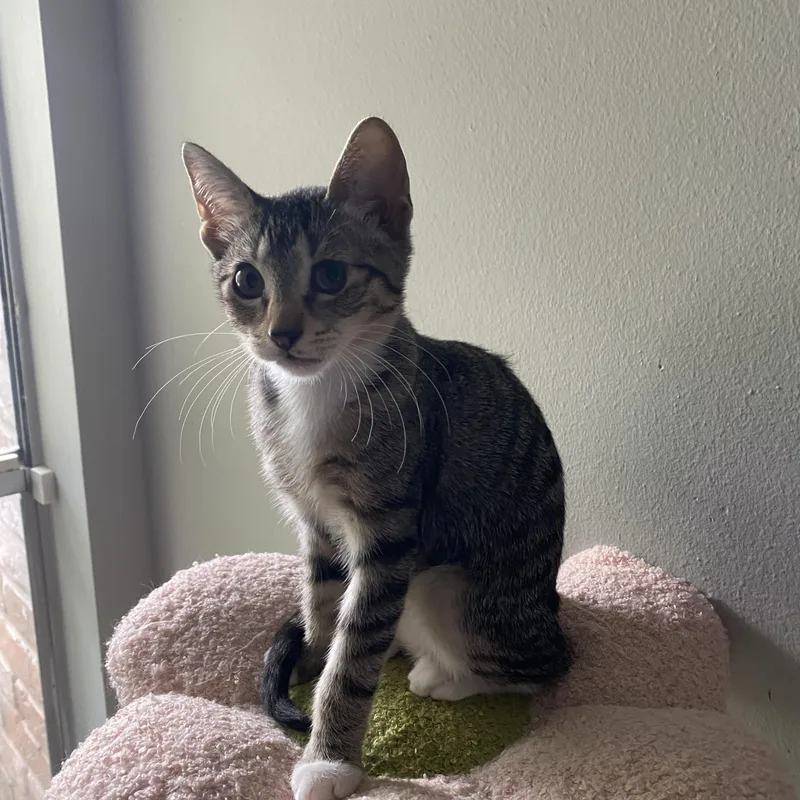 Dorita  Riley Fuzzel thumbnail 4