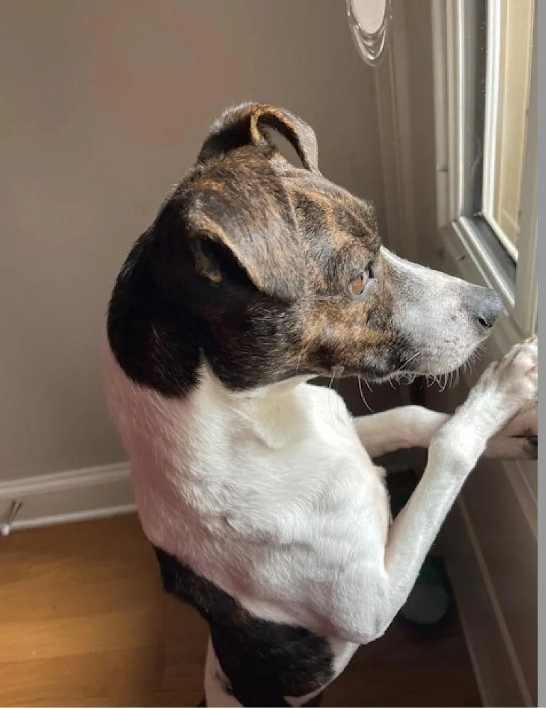 Waylon James thumbnail 3