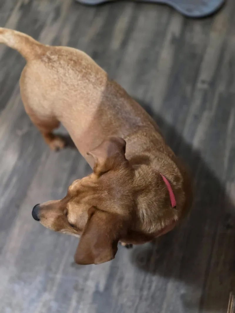 Sophie thumbnail 3