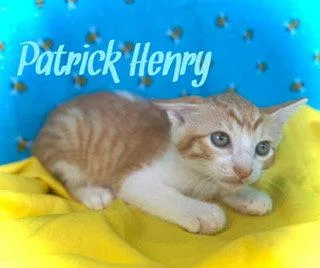 Patrick Henry thumbnail 2