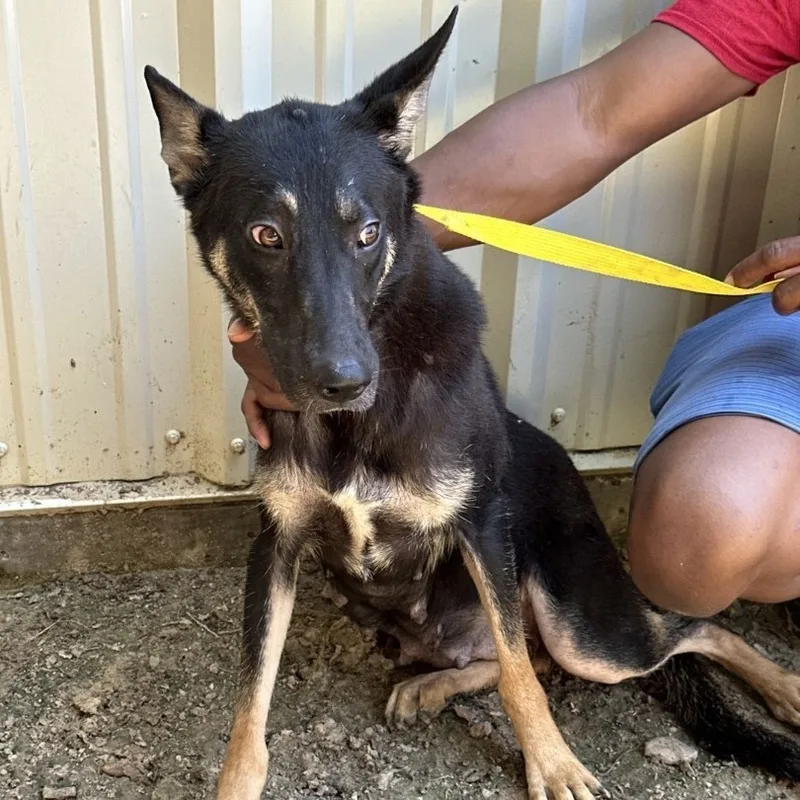 Abbey thumbnail 2