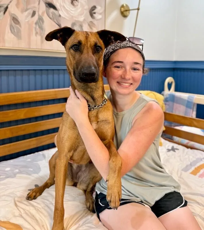 A young medium-sized female Yellow / Tan / Blond / Fawn Rhodesian Ridgeback dog named Brooklynn Cherry Your Sunshine for adoption in Friendswood, TX