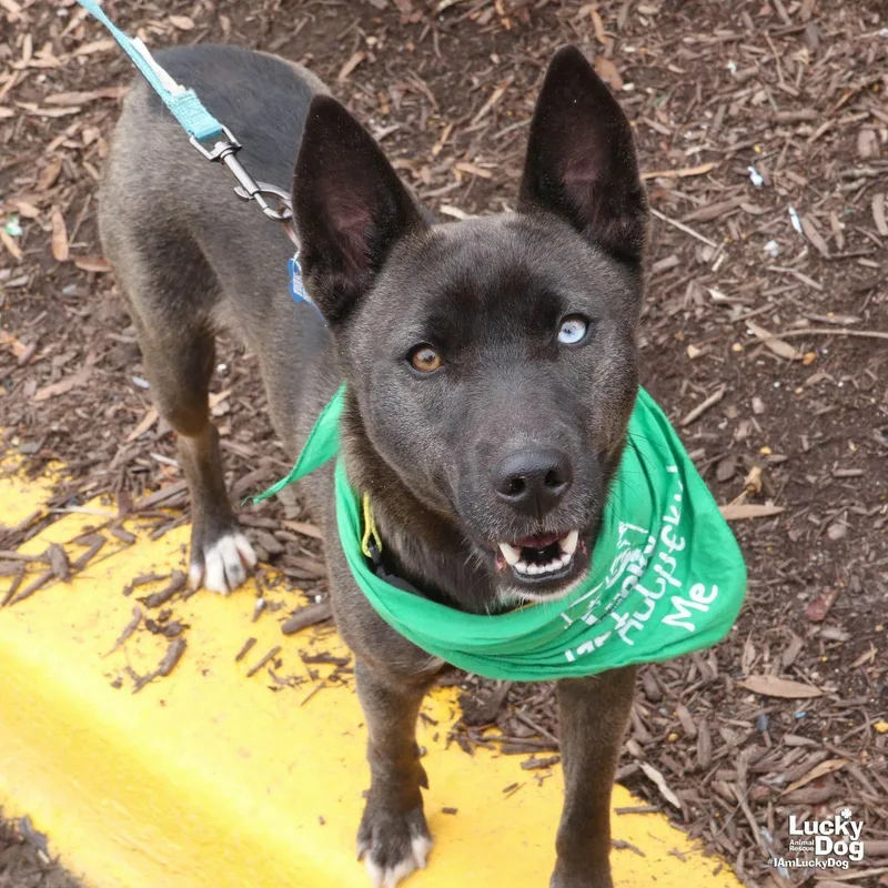 Banana Bread thumbnail 2