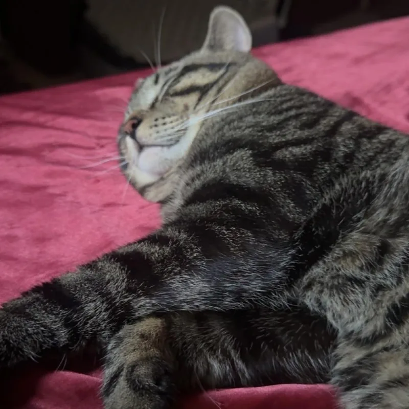 Casper  Home To thumbnail 2