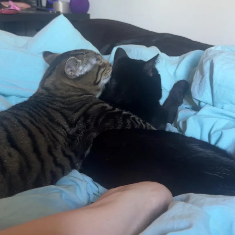Casper  Home To thumbnail 4