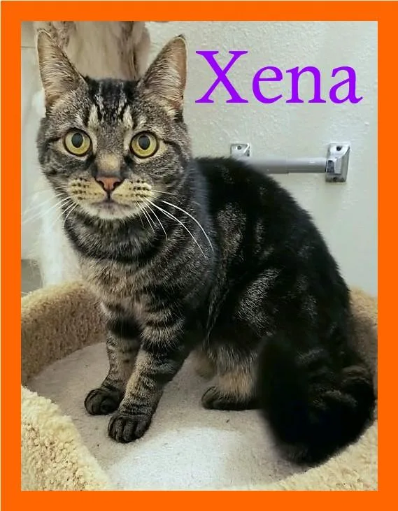 Xena