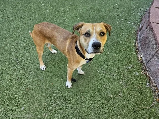 Tucker