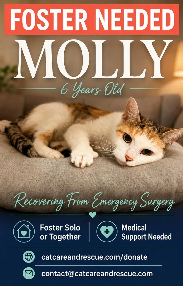 Molly