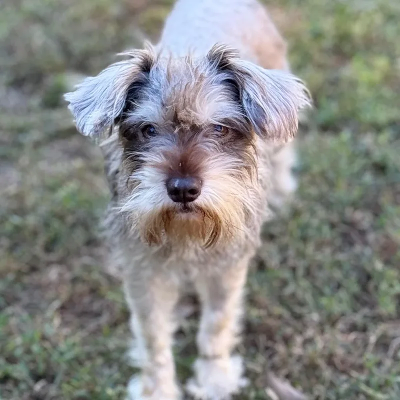 Maggie thumbnail 3