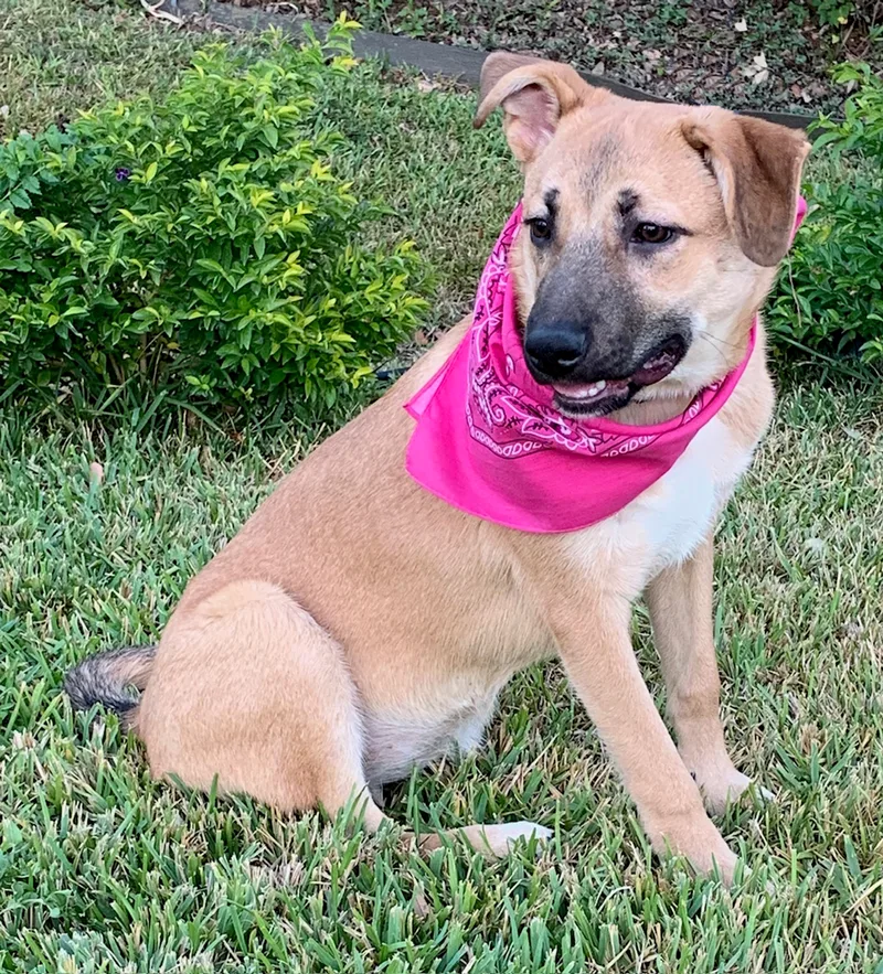 Precious  Lovebug! thumbnail 4