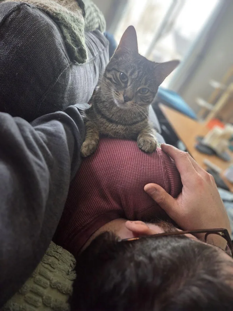 Dixie & Pixie thumbnail 5