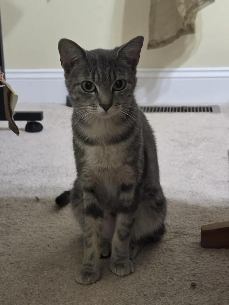 Cleo thumbnail 2