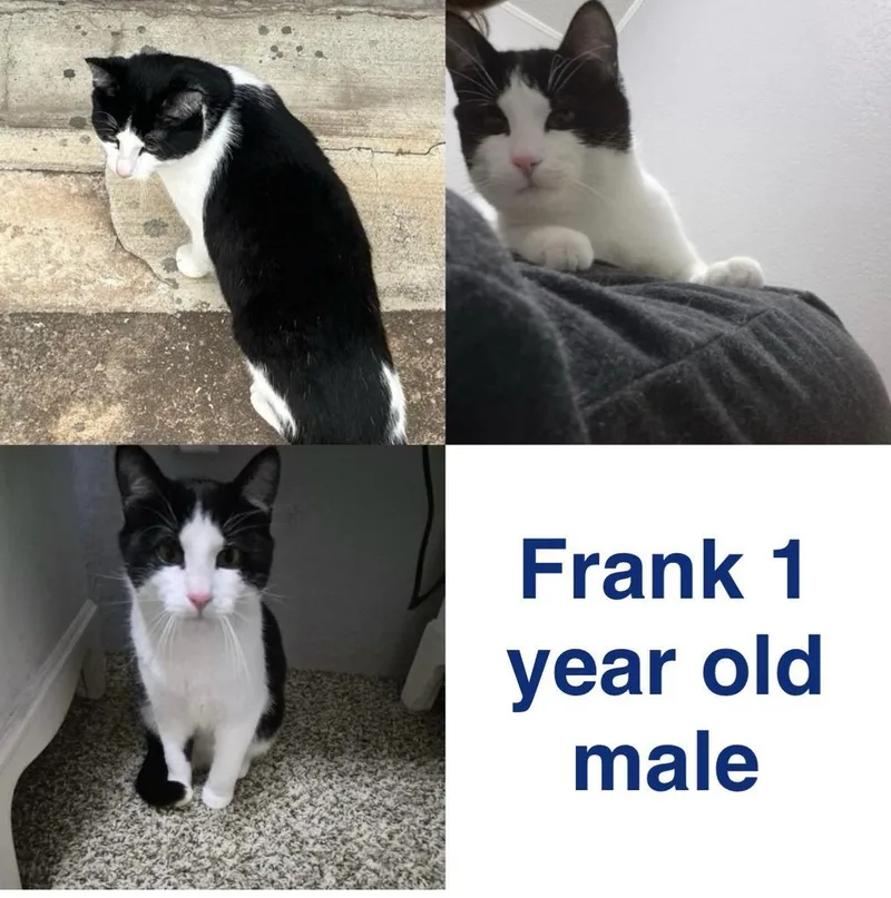 Frank