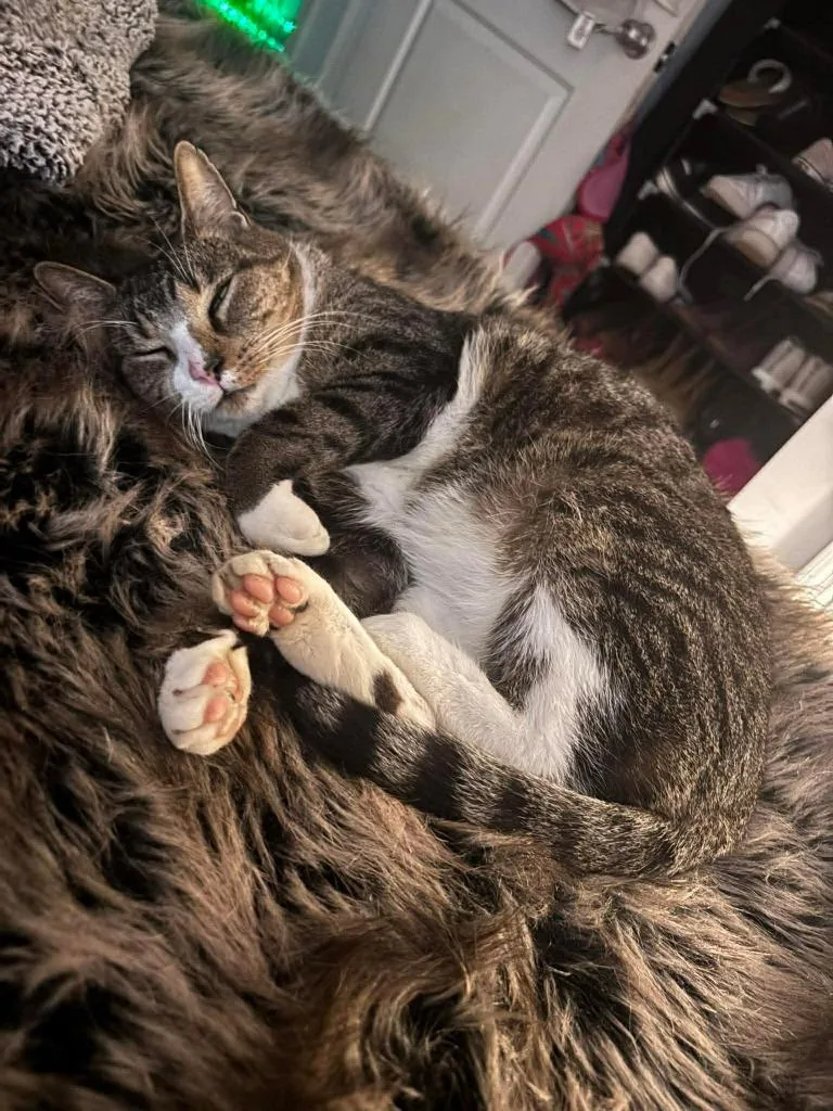 Sebastian thumbnail 2