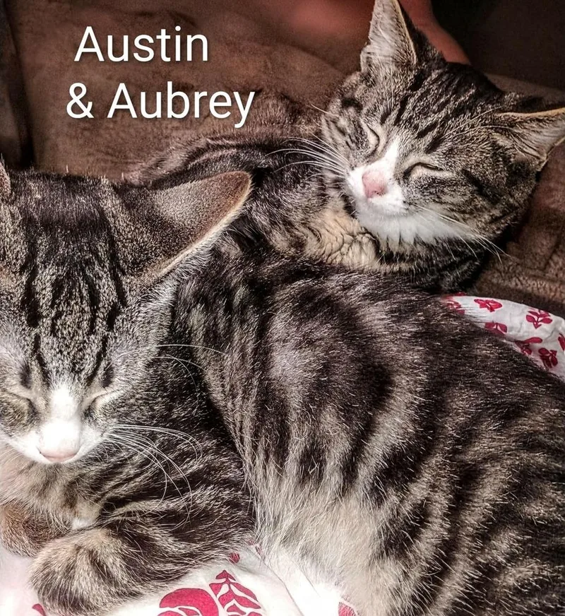 Aubrey thumbnail 2