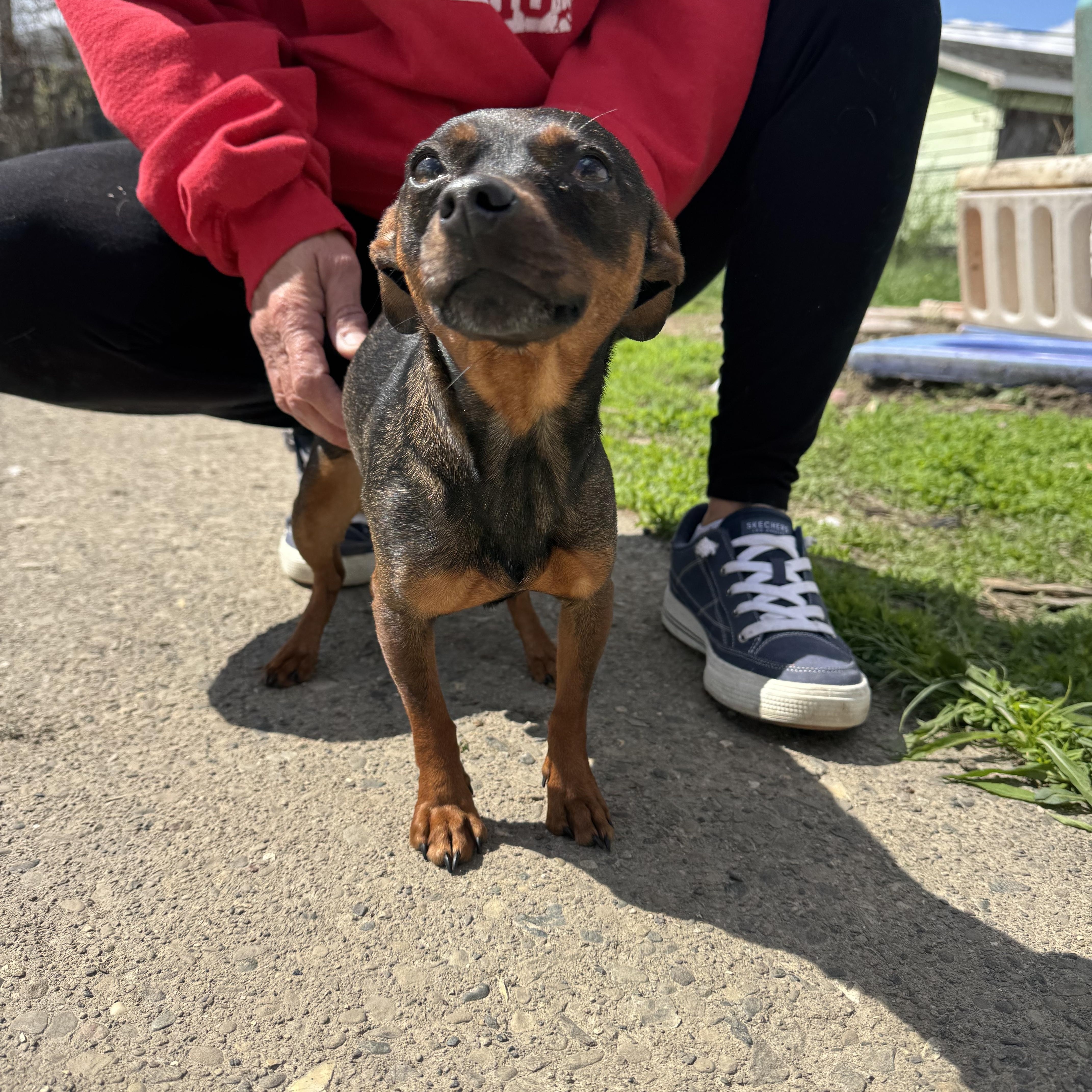 Chowder! Sweet Awesome Girl! thumbnail 2