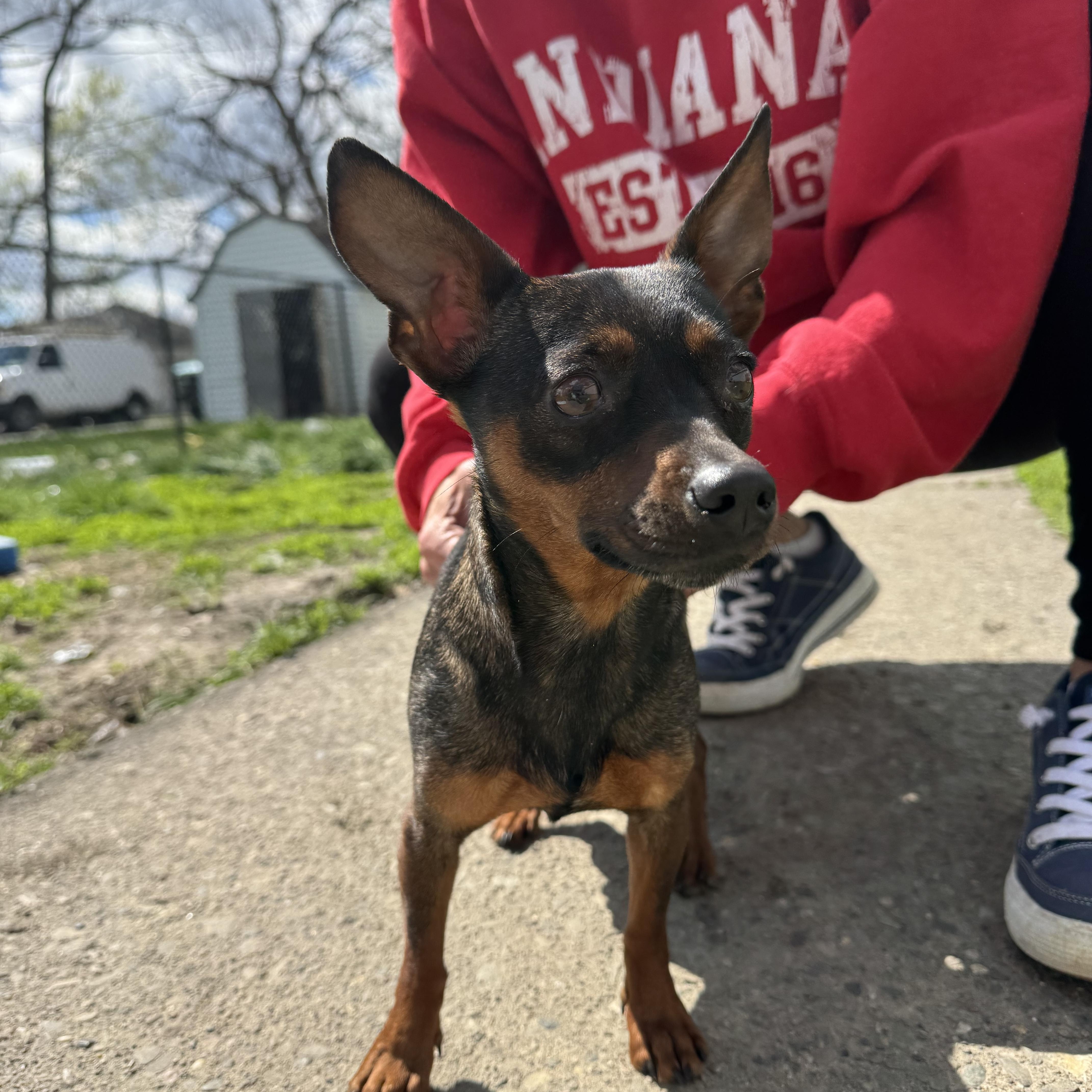 Chowder! Sweet Awesome Girl! thumbnail 5