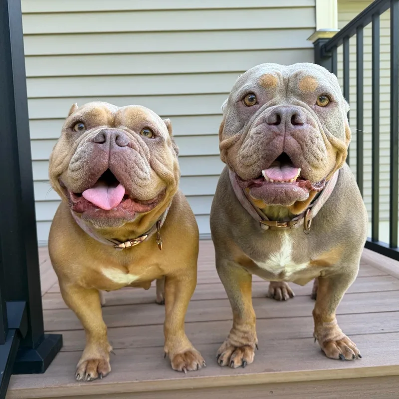 Maddie & Maizie thumbnail 3