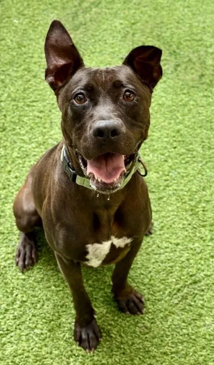 Charlize thumbnail 2