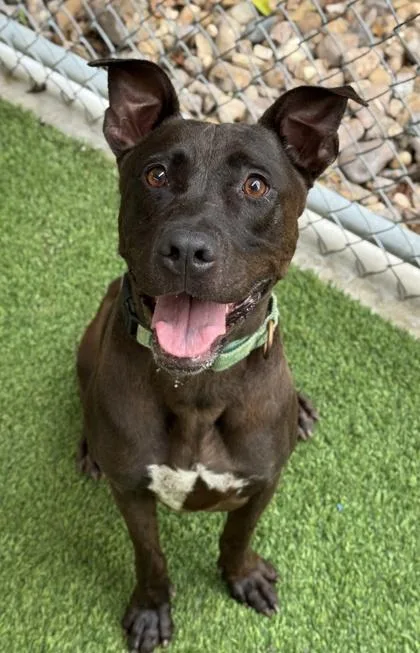 Charlize thumbnail 3