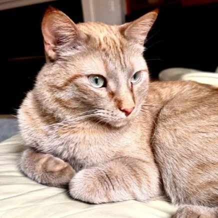Timmy thumbnail 3