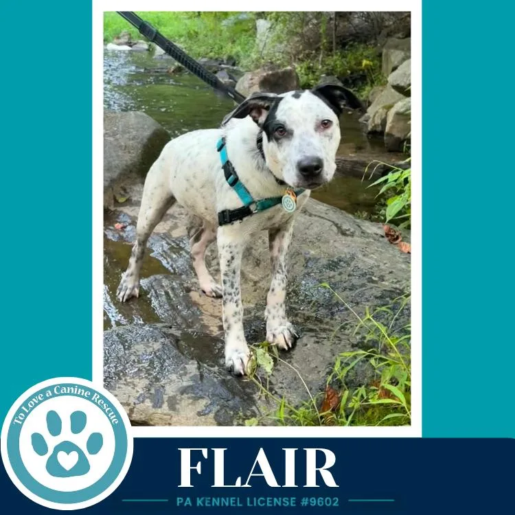 Flair thumbnail 2