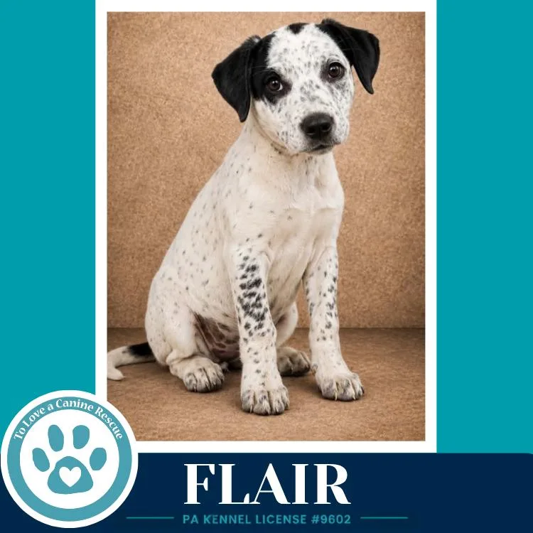 Flair thumbnail 3