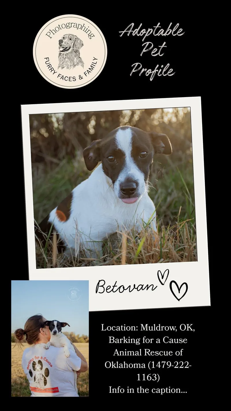 Betovin