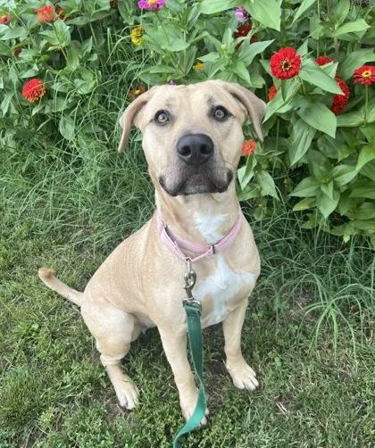 Avery thumbnail 2