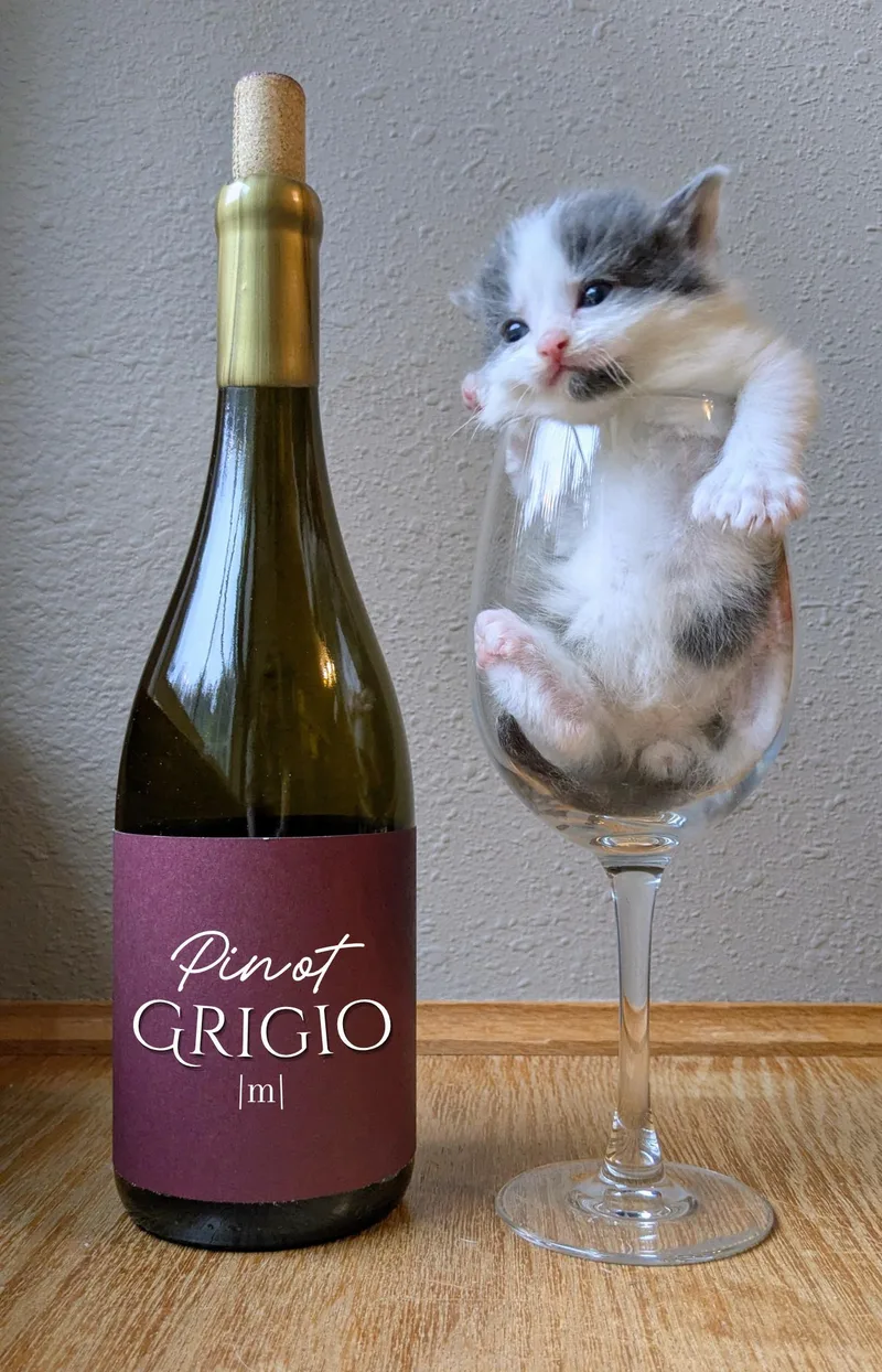 Pinot Grigio thumbnail 6