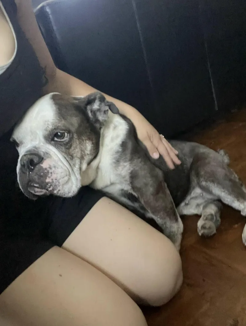 Clementine is very loving thumbnail 5