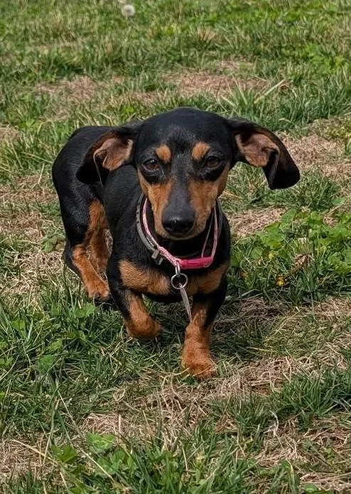 Gemma In Wi thumbnail 4