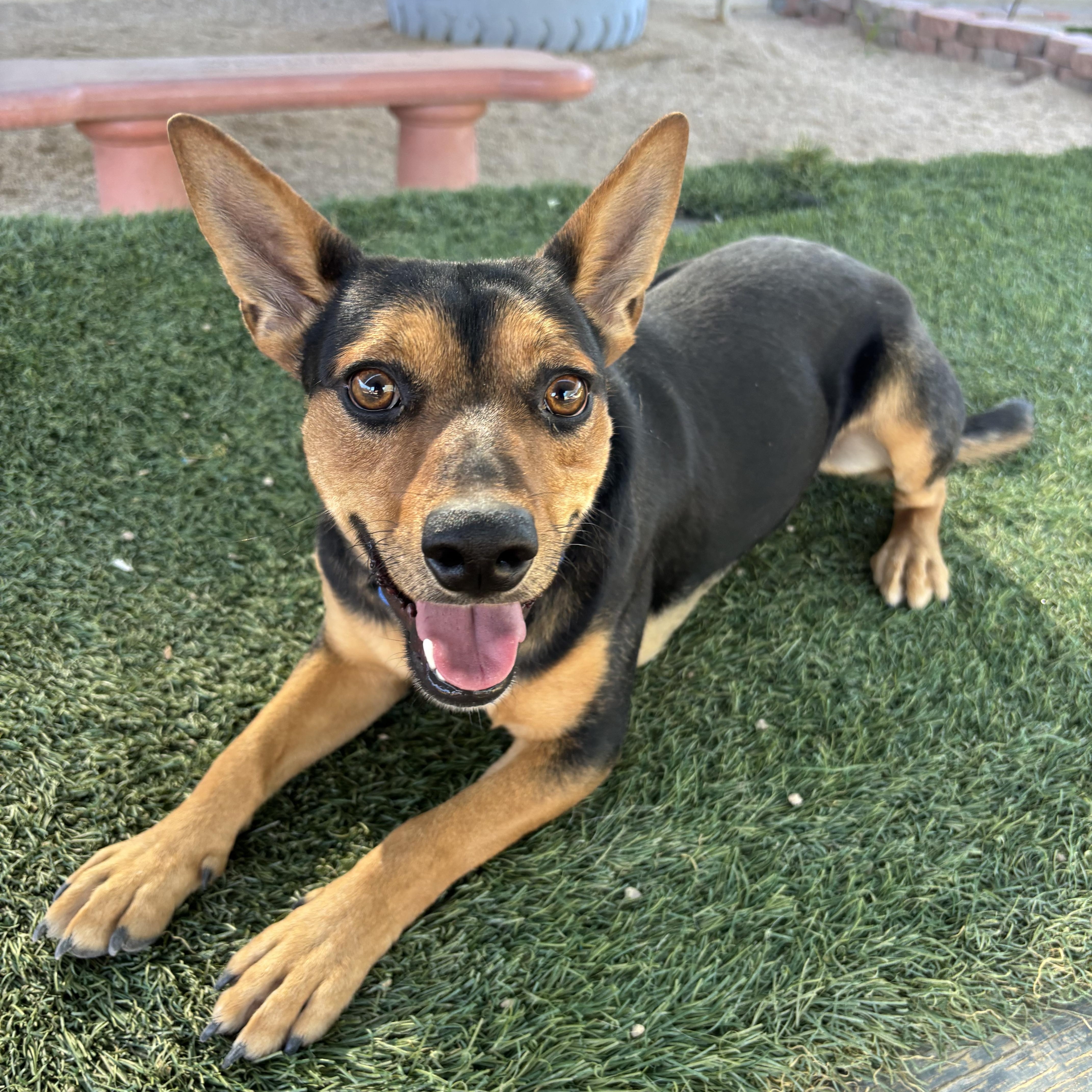 Tabbouleh thumbnail 2