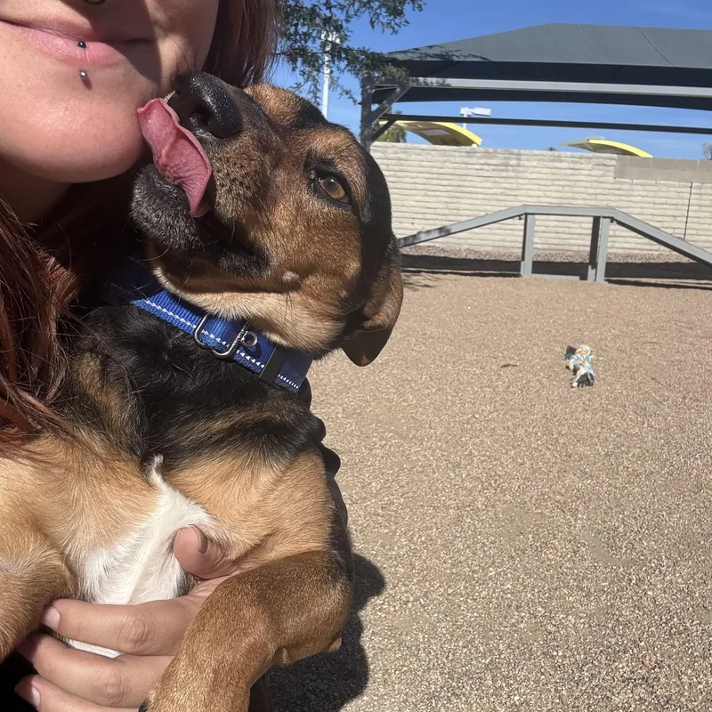 Tabbouleh thumbnail 4