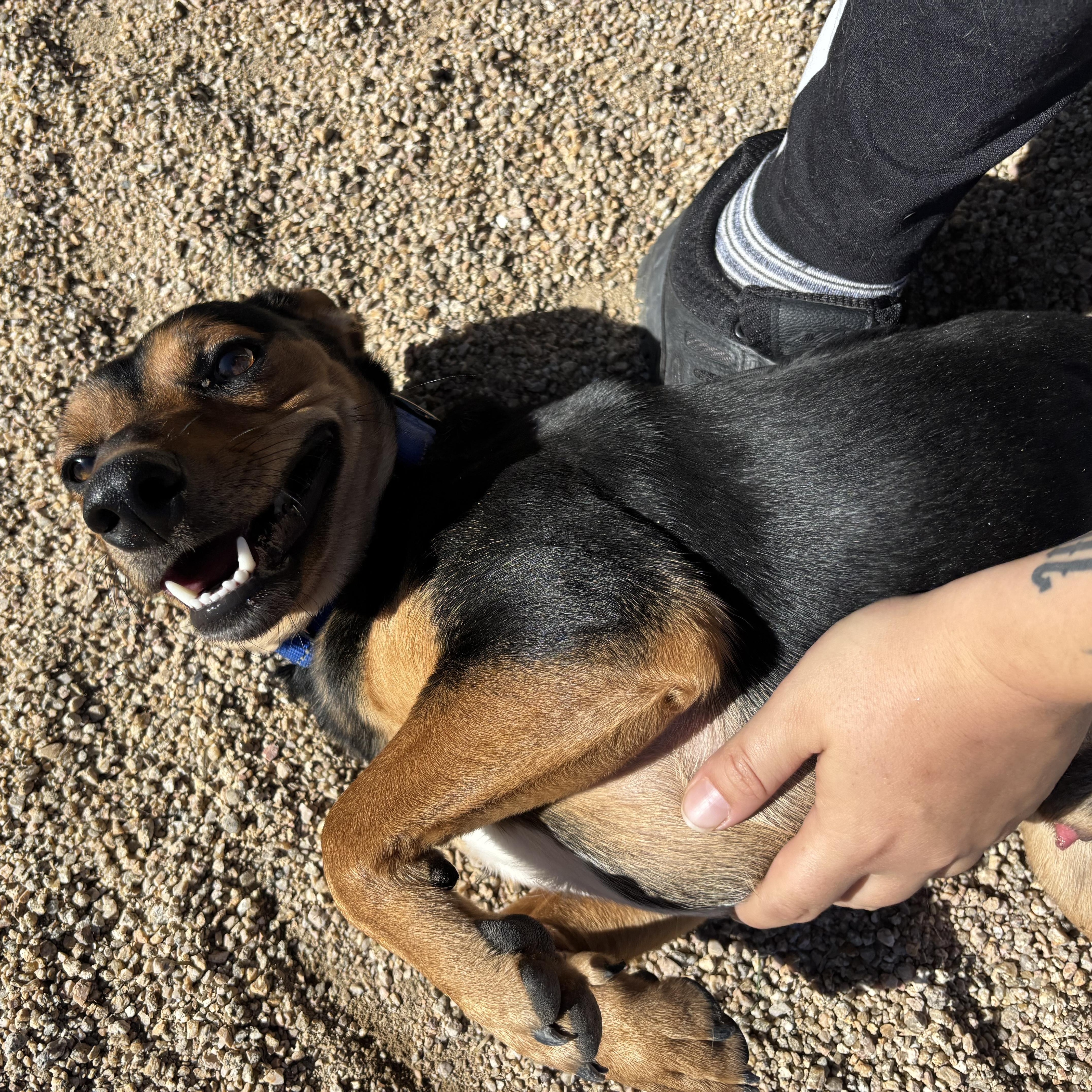 Tabbouleh thumbnail 6