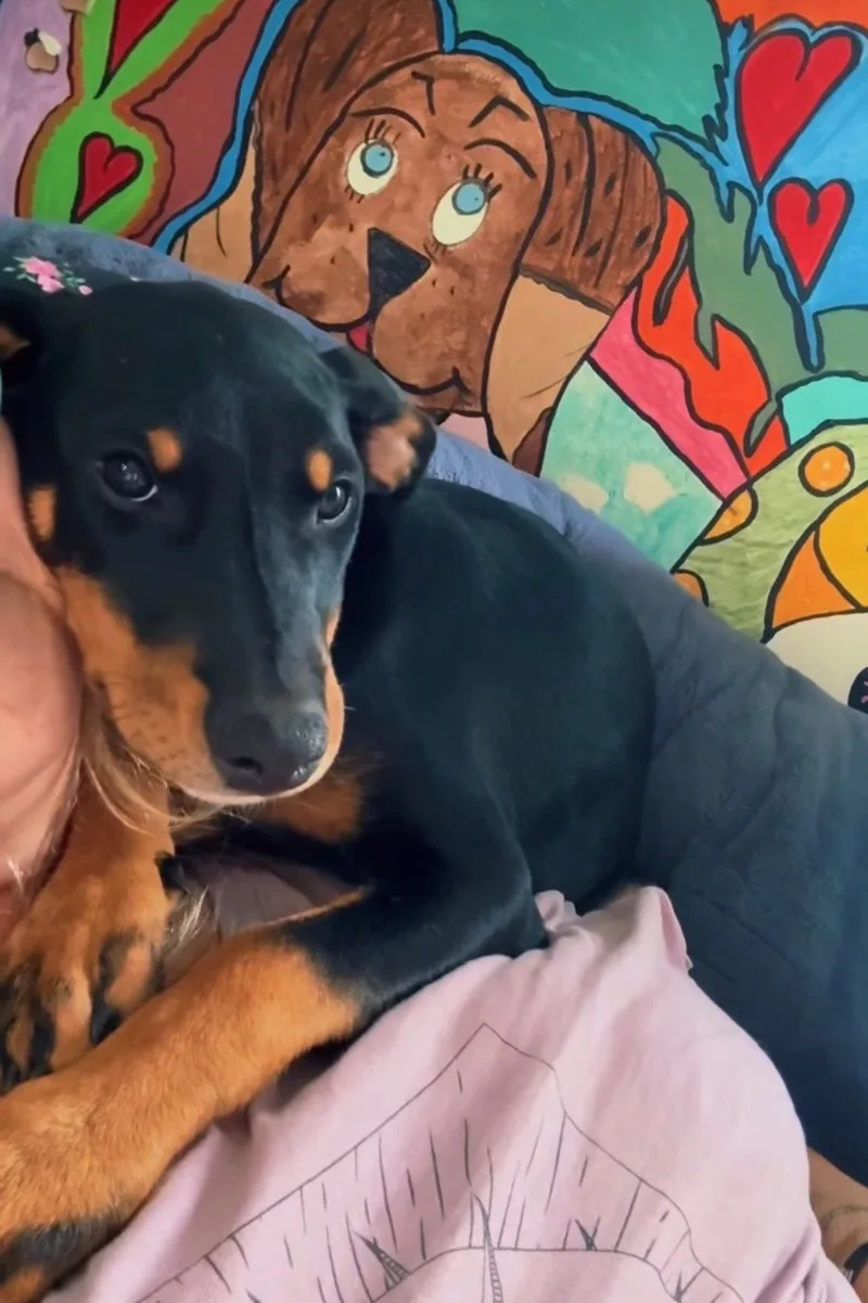 Susie Q thumbnail 2