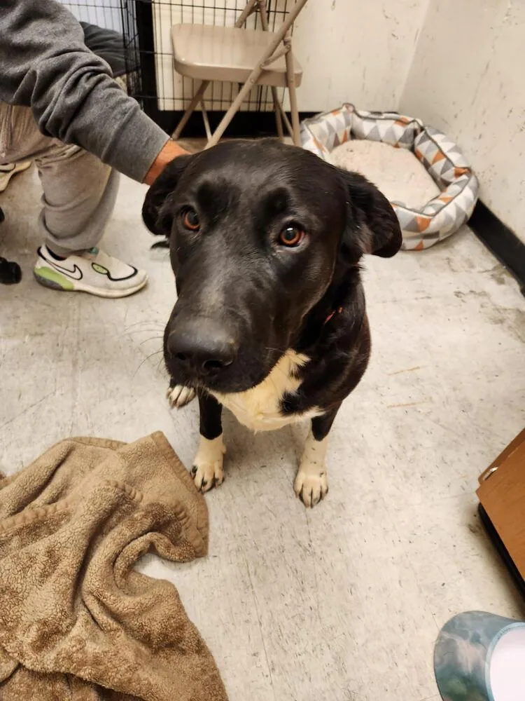 White Hands thumbnail 2