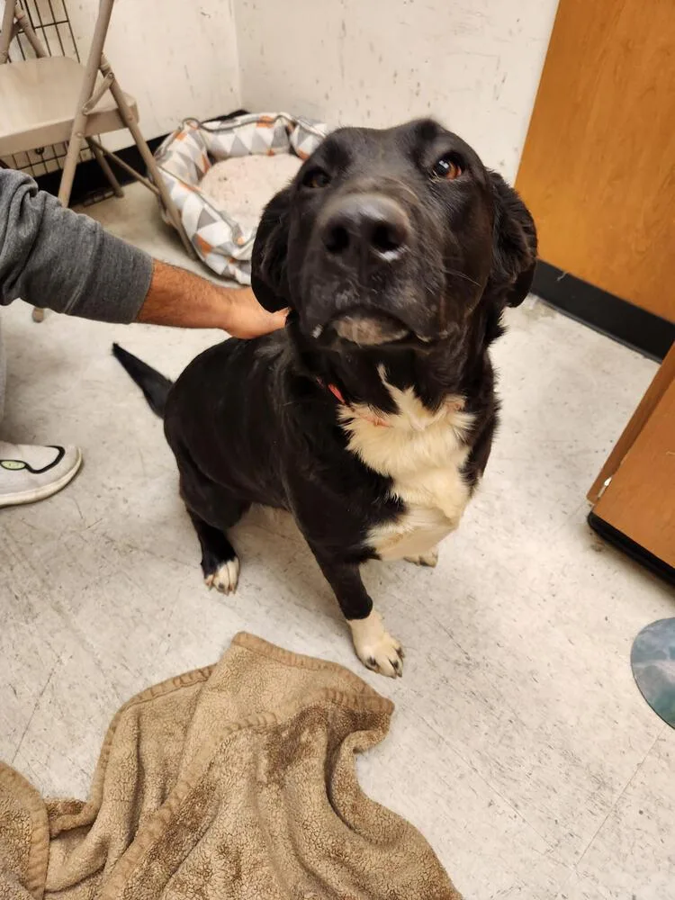 White Hands thumbnail 5