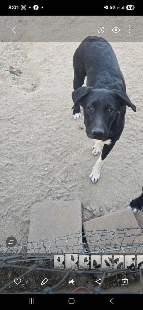 White Hands thumbnail 6