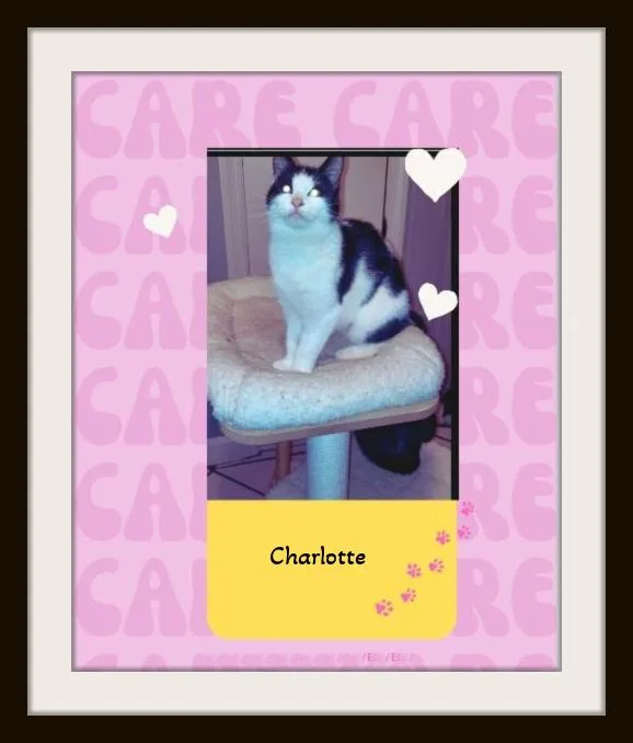 Charlotte & Templeton  thumbnail 4