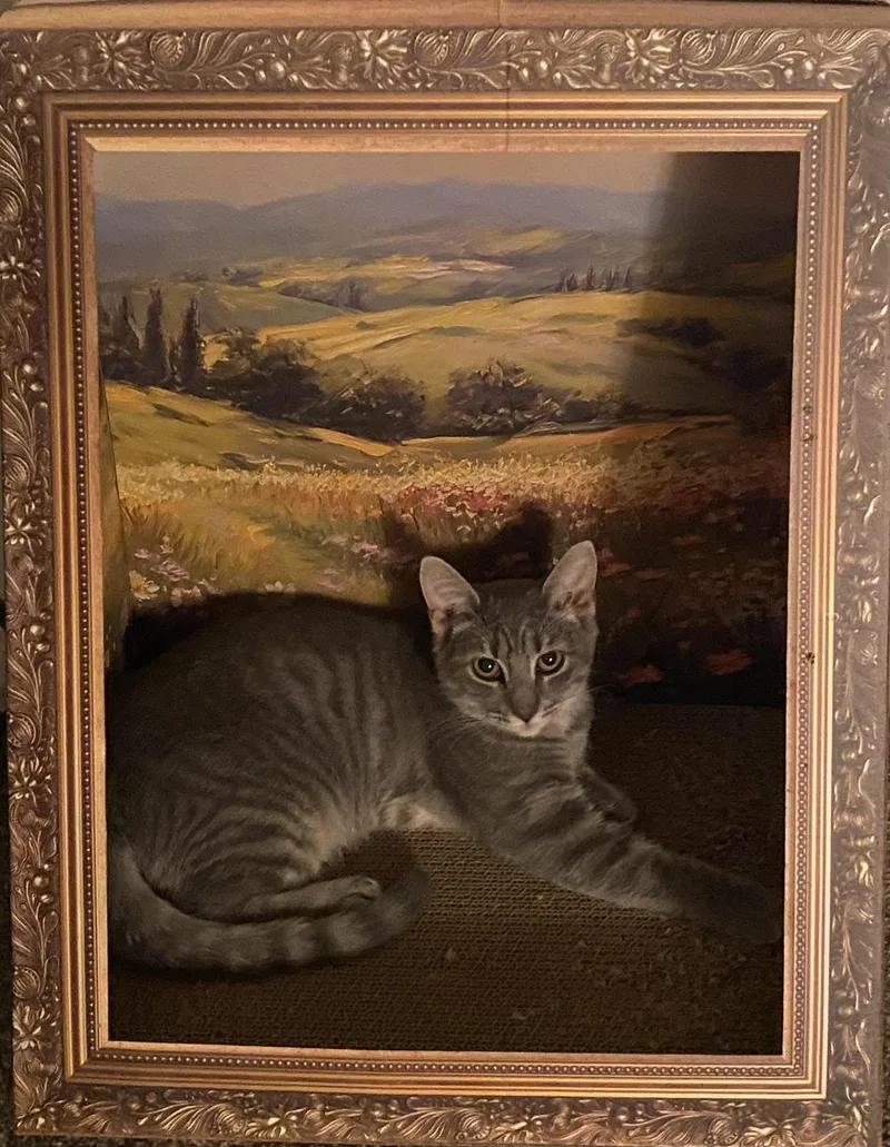 Katrina & Jeffrey thumbnail 2