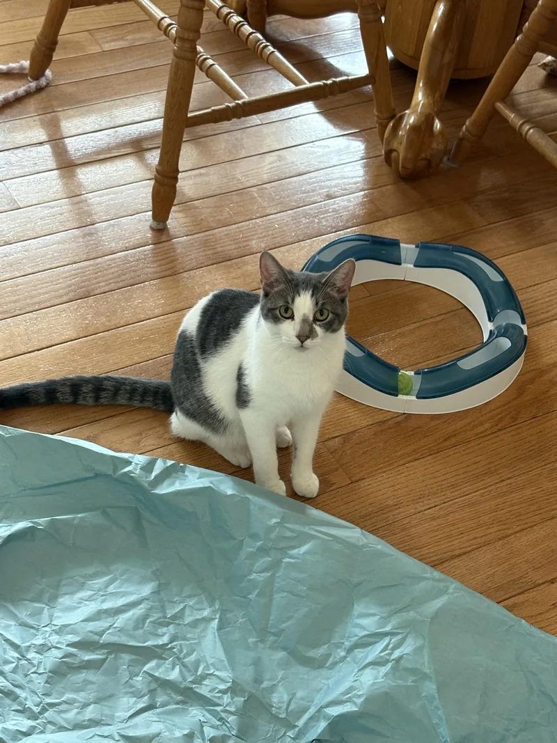 Katrina & Jeffrey thumbnail 3