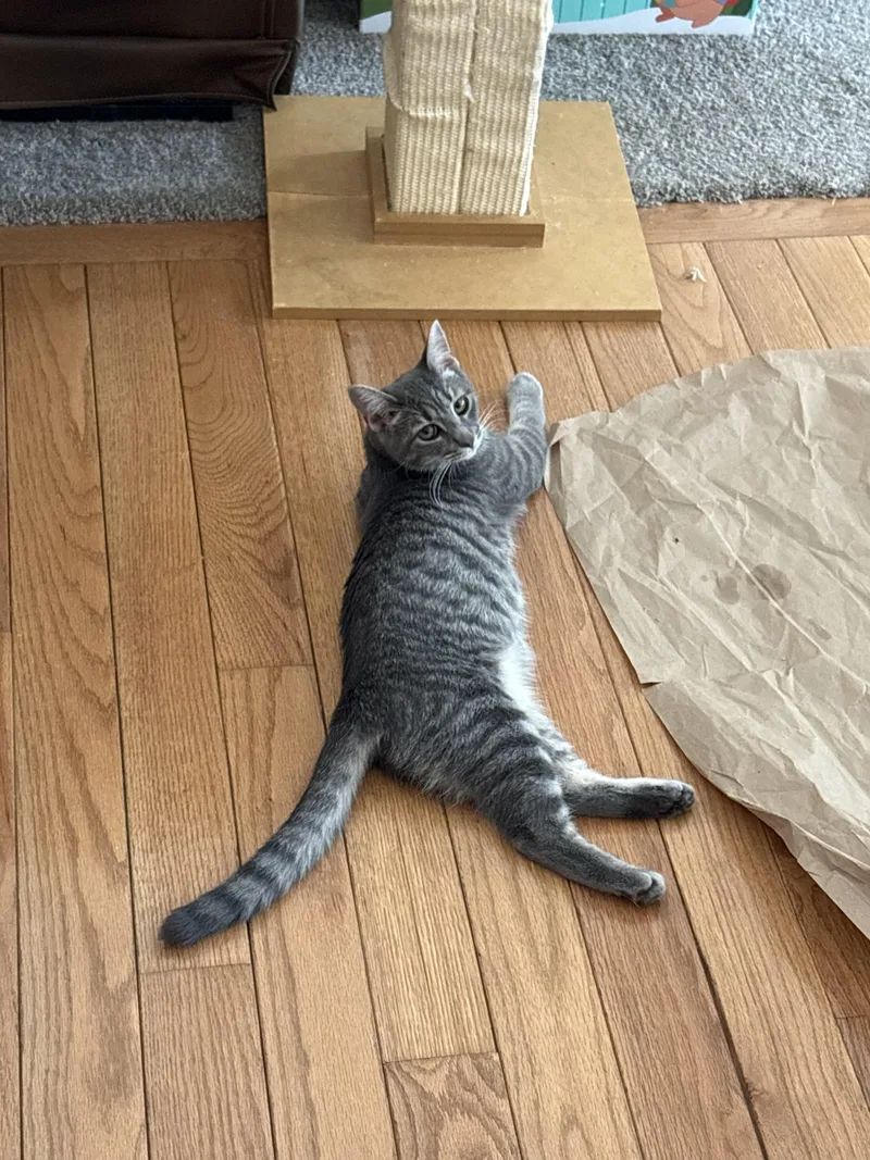 Katrina & Jeffrey thumbnail 5