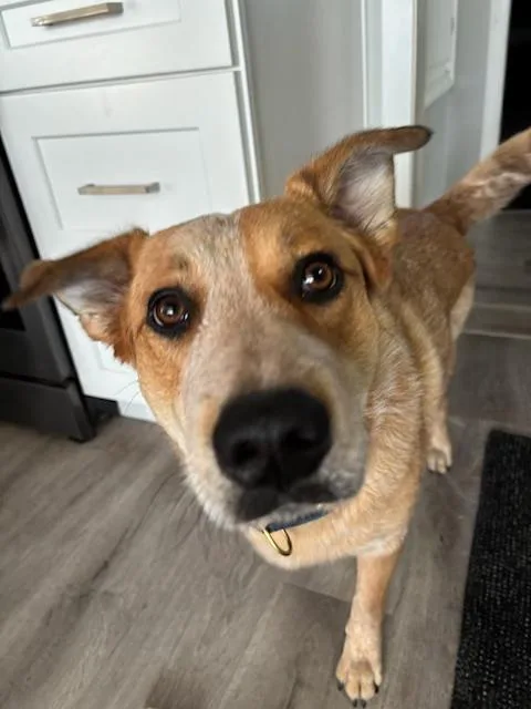 Kaci