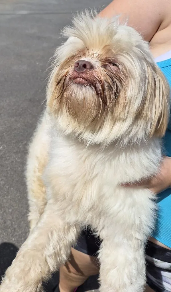 Pen  Truffle